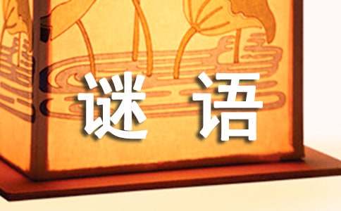 如何为不同水平的球员制定个性化的篮球训练策略_0